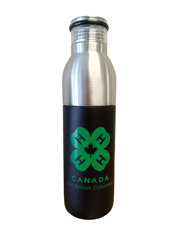 Stainless Steel Double Wall Vacuum Bottle